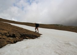 zapada pe Transalpina 2019