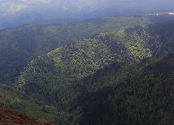 Transalpina strabatuta la pas 2019