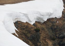zapada Transalpina 2019