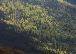 Transalpina strabatuta la pas 2019