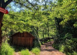 Fundatura Ponorului judetul Hunedoara 2019