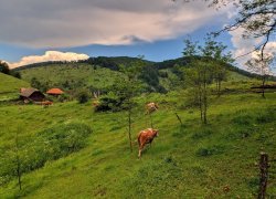 Fundatura Ponorului judetul Hunedoara 2019