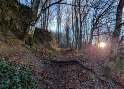 Pestera Liliecilor Moneasa din judetul Arad