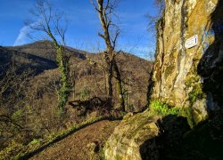 Pestera Liliecilor Moneasa din judetul Arad