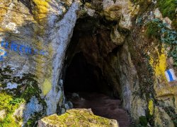 Pestera Liliecilor Moneasa din judetul Arad