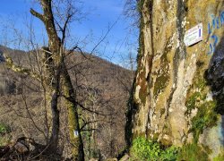 Pestera Liliecilor Moneasa din judetul Arad