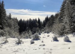 Fundatura Ponorului iarna din judetul Hunedoara