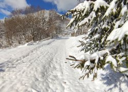 Fundatura Ponorului iarna din judetul Hunedoara
