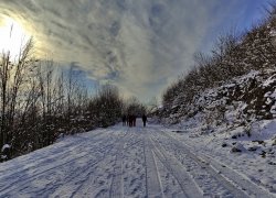 Fundatura Ponorului iarna din judetul Hunedoara
