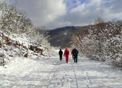 Fundatura Ponorului iarna din judetul Hunedoara
