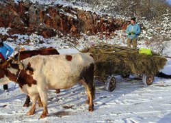 Fundatura Ponorului iarna din judetul Hunedoara