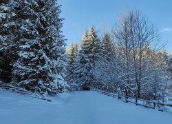Fundatura Ponorului iarna din judetul Hunedoara