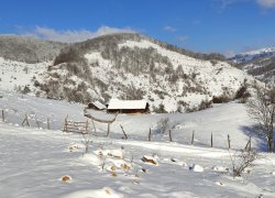 Fundatura Ponorului iarna din judetul Hunedoara