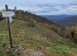 Ruinele Cetatii Dezna din judetul Arad