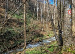 La Tunele din Poieni judetul Timis