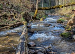 La Tunele din Poieni judetul Timis