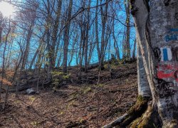 La Tunele din Poieni judetul Timis