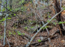 La Tunele din Poieni judetul Timis