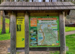 Chilia lui Daniil Sihastrul din Putna