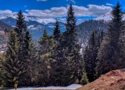 Manastirea Sfanta Treime Prislop