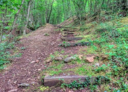 Ruinele Cetatii Jdioara din Banat