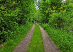 Ruinele Cetatii Jdioara din Banat