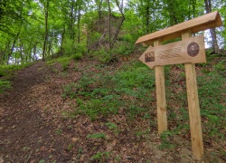 Ruinele Cetatii Jdioara din Banat