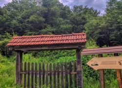 Ruinele Cetatii Jdioara din Banat