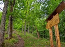 Ruinele Cetatii Jdioara din Banat