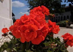 Manastirea Partos din Banat