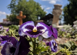 Manastirea Partos din Banat