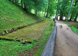 Sarmizegetusa Regia din jud Hunedoara