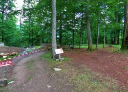 Sarmizegetusa Regia din jud Hunedoara