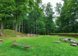 Sarmizegetusa Regia din jud Hunedoara