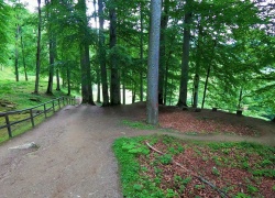 Sarmizegetusa Regia din jud Hunedoara