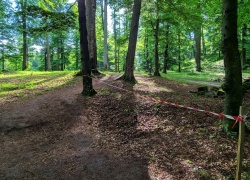 Sarmizegetusa Regia din jud Hunedoara