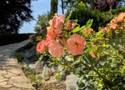I Giardini di Zoe din Banpotoc