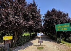 I Giardini di Zoe din Banpotoc