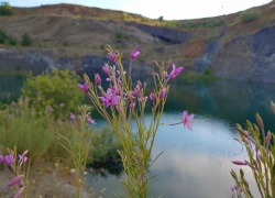Lacul de Smarald din Racos
