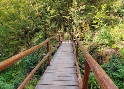 Pestera Meziad din jud Bihor