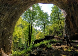 Pestera Meziad din jud Bihor