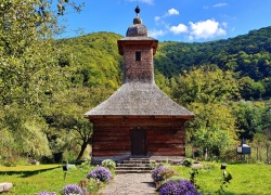 Biserica de lemn din Poieni jud Timis