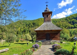 Biserica de lemn din Poieni jud Timis