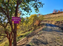 drum forestier catre Schitul Bujoara