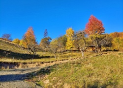 Dealul Bujoara din comuna Vata de Jos