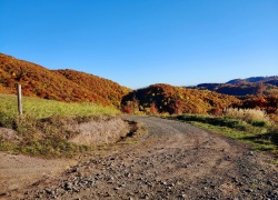 drum forestier catre Schitul Bujoara