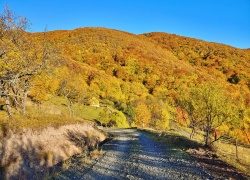 drum forestier catre Schitul Bujoara