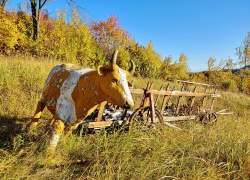 Locul de nastere a lui Arsenie Boca