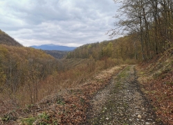 Lacul Dracului din Cheile Nerei