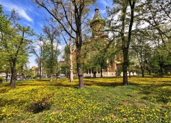Primavara in Timisoara